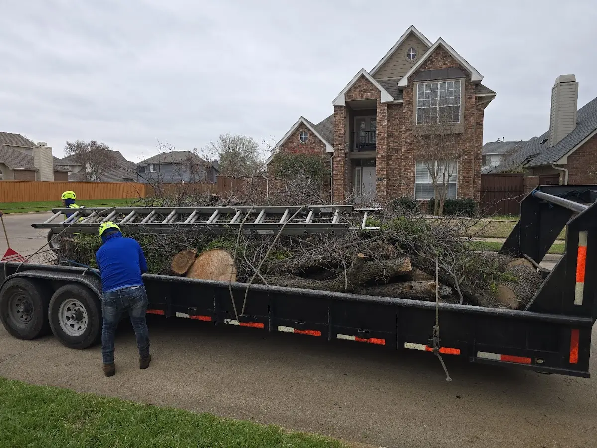 Expert Tree Pest Control with proper safety equipment in Mcmechen